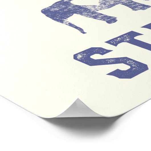 Poster Protéger les animaux (Coin)