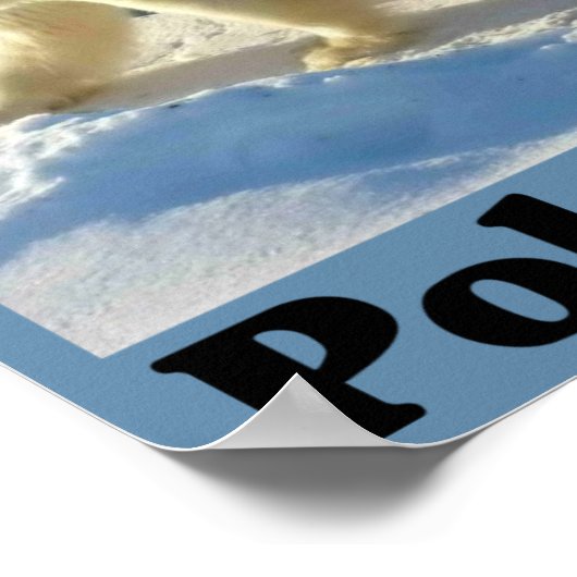 Poster Protéger l'ours polaire (Coin)