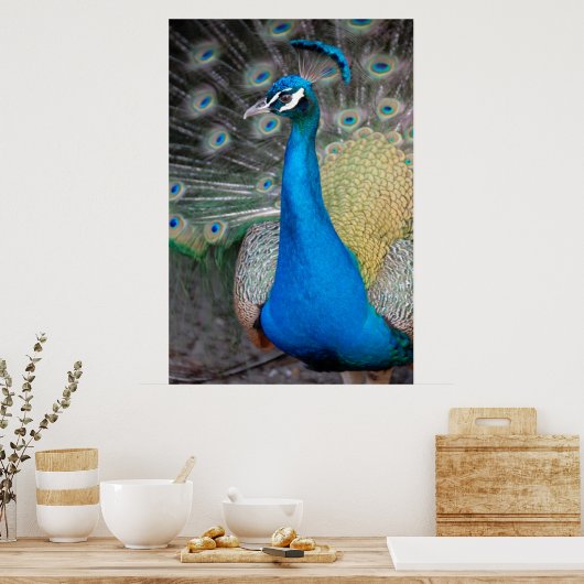 Poster Prouve Peacock (Cuisine)