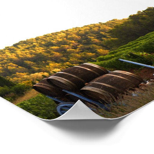 Poster Provence, France (Coin)