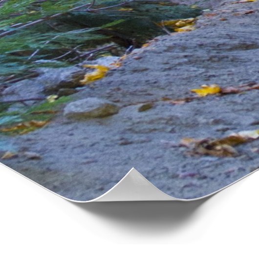 Poster Proverbes 28:1 (Coin)