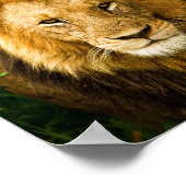 Poster Proverbes 28:1 Les justes sont Téméraires comme un (Coin)