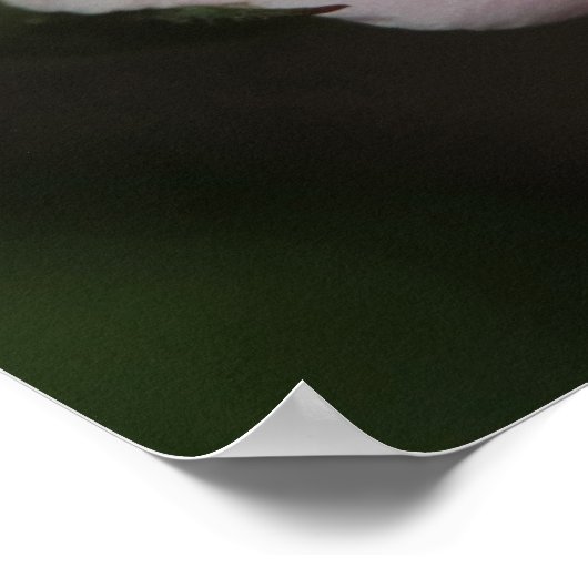 Poster Proverbes 31:30 Écritures Imprimer (Coin)