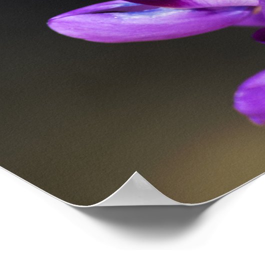 Poster Proverbes 4:23 (Coin)