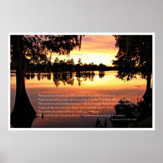 Poster Proverbios 3 : 13-18 con Arboles (Devant)