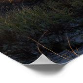 Poster Provincetown (Coin)