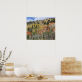 Poster Provo (Cuisine)