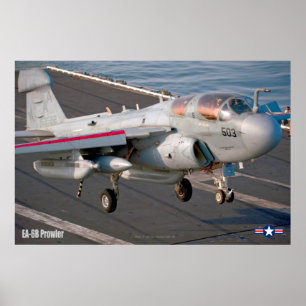 POSTER PROWLER EA-6B