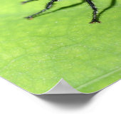Poster Proximité de l'insecte volant (Coin)