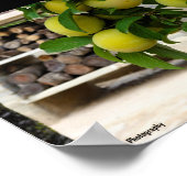 Poster Prunes jaunes Bois rustique (Coin)