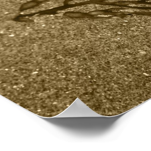 Poster Psalm 46:1 (Coin)