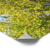 Poster Psalm 92 Blue Sky (Coin)