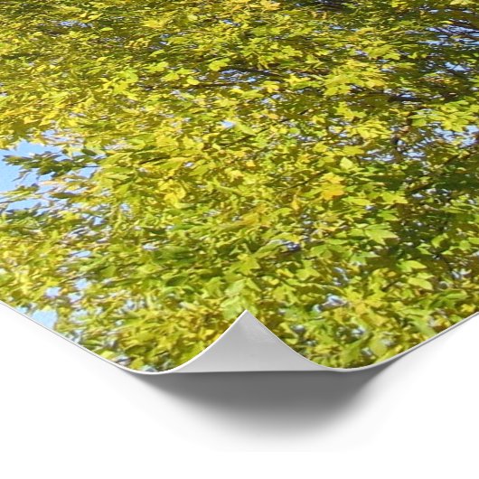 Poster Psalm 92 Blue Sky (Coin)