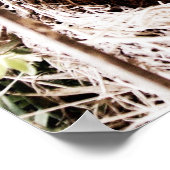 Poster Psaume 104:24 (Coin)