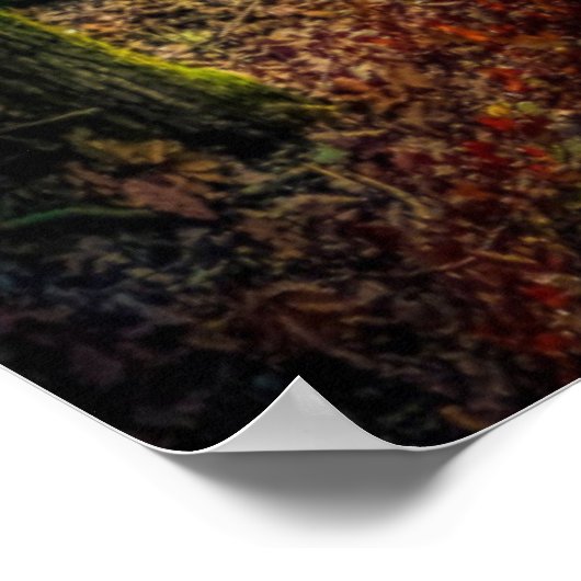 Poster Psaume 119:105 (Coin)