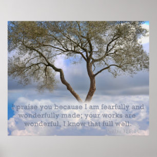 Poster Psaume 139 : Je craintivement et merveilleusement