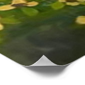 Poster Psaume 148:3 (Coin)