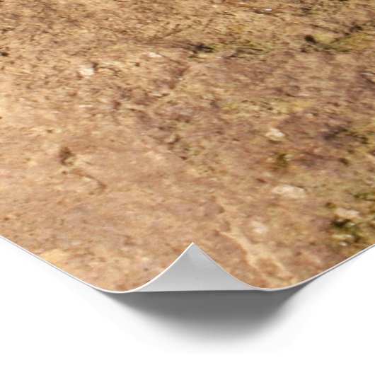 Poster Psaume 18:1,2 Écritures Imprimer (Coin)