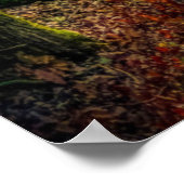 Poster Psaume 19:7-8 (Coin)