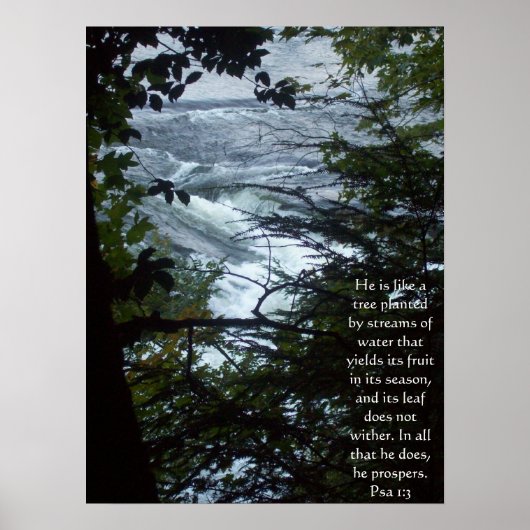 Poster Psaume 1:3 (Devant)