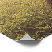 Poster Psaume 27:4 Une chose que je désirais de la Bible  (Coin)