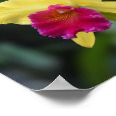 Poster Psaume 29:11 Bible chrétienne Verse Écriture (Coin)