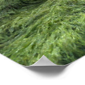 Poster Psaume 30:5 Presser Peut Dernier À Travers Le NIgh (Coin)