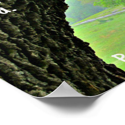 Poster Psaume 51:10 Créer en moi un coeur propre (Coin)