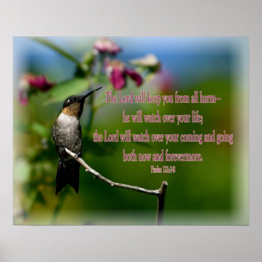Poster Psaume de colibri 121:7-8 (Devant)