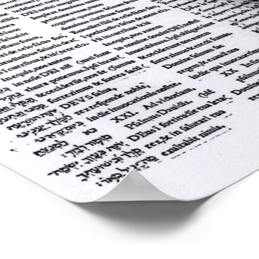 Poster Psaume de David : Psalterim Octaplums, 1516 (Coin)