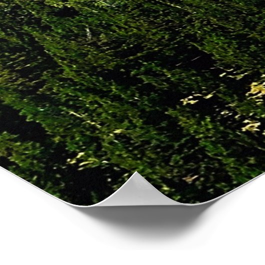 Poster Psaumes 121:1-3 (Coin)