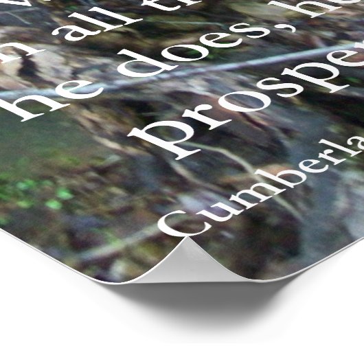 Poster Psaumes 1:3 (Coin)