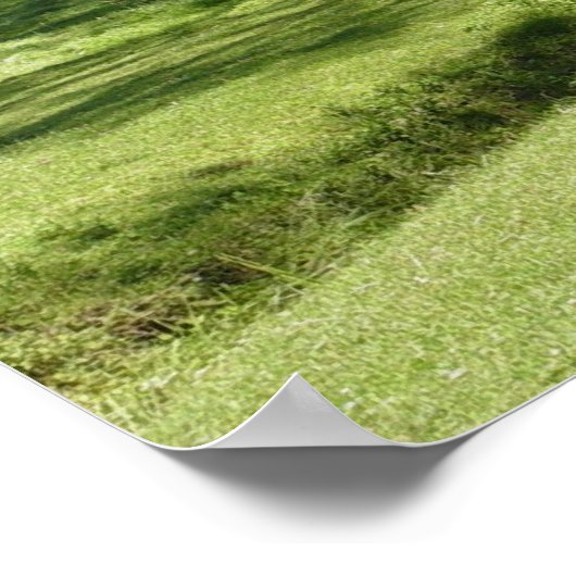 Poster Psaumes 23:1 (Coin)