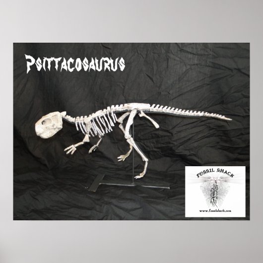 Poster Psittacosaurus Squelette (Devant)