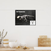 Poster Psittacosaurus Squelette (Cuisine)
