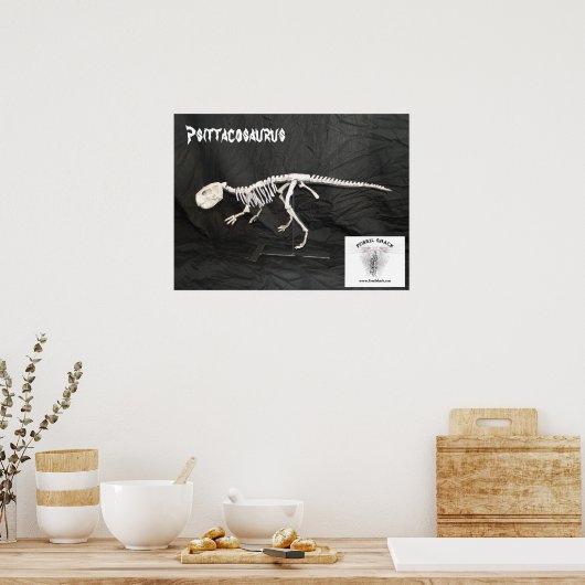Poster Psittacosaurus Squelette (Cuisine)