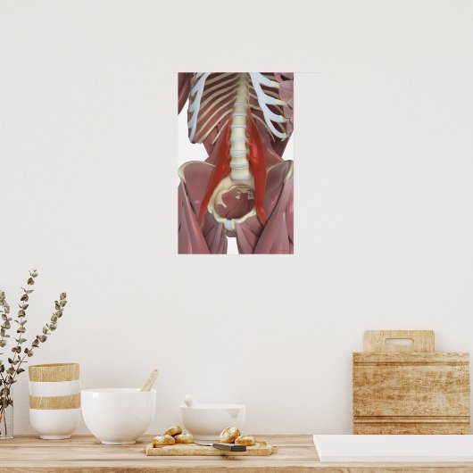 Poster Psoas Major (Cuisine)