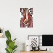 Poster Psoas Major (Bureau à domicile)