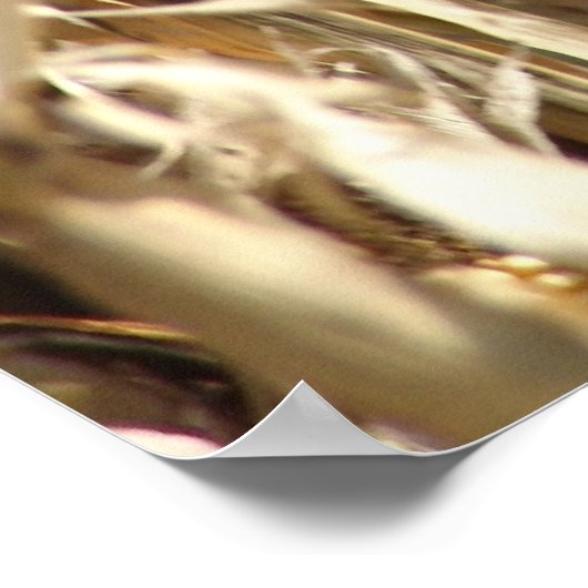 POSTER PSTER GARÇON FERME (Coin)