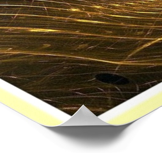 Poster PSYCHE (Amour Bien Mérité) (Coin)