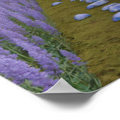 Poster Psychedelic Garden Path (Coin)