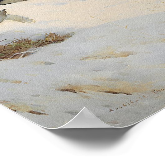 Poster Ptarmigan en plumage hivernal, volant à travers la (Coin)