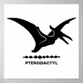 Poster Ptéodactyle Dinosaure Silhouette (Devant)