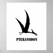 Poster pteranodon (Devant)
