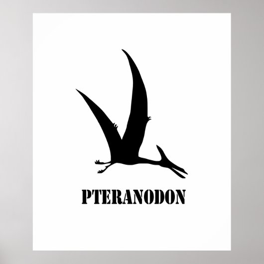 Poster pteranodon (Devant)