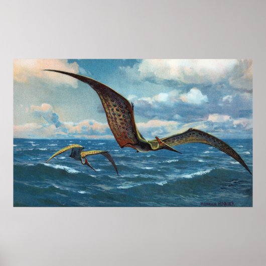 Poster Pteranodon Antique Print (Devant)