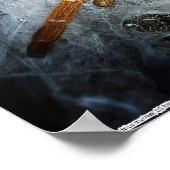 Poster Pterinochilus murinus (Coin)