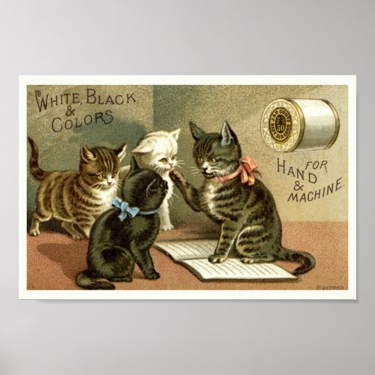 Poster publicitaire des chatons de l'époque victor (Devant)