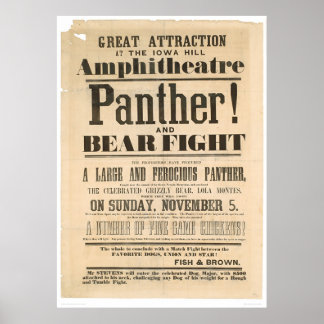 Poster Publicité de lutte contre la panthère et l'ours (1