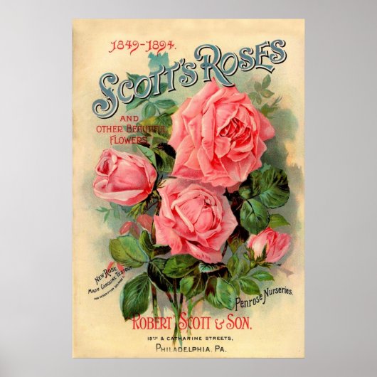 Poster Publicité écossaise Rose (Devant)